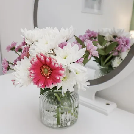 公寓 Glenholme 2 雷德卡